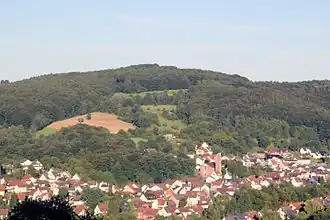 Der Herrenberg mit Niedersteinbach im Vordergrund