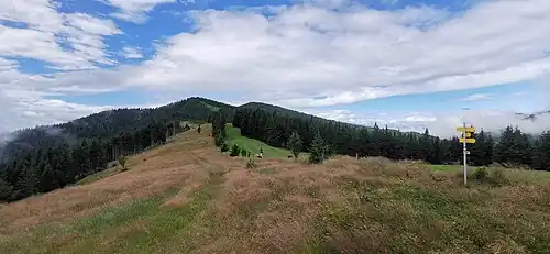 Blick von den Drei Pfarren auf den Ostrücken des Herrenkogels