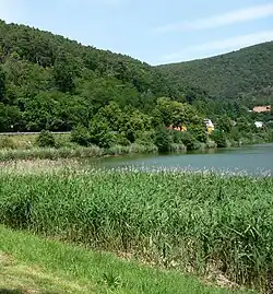 Am westlichen Ende des Sees