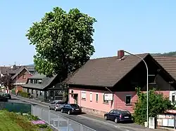 Die alte Kastanie – Naturdenkmal und Wahrzeichen von Hesseldorf