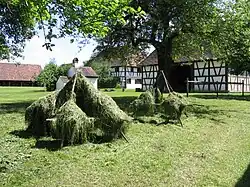 Dreibockreuter im Freilichtmuseum Kürnbach bei Biberach
