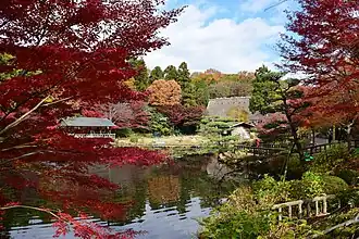 Herbstliches Panorama