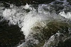 Kurze Belichtungszeit