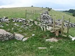 Hügellandschaft von Green Low