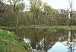 Teich mit Blumeninsel