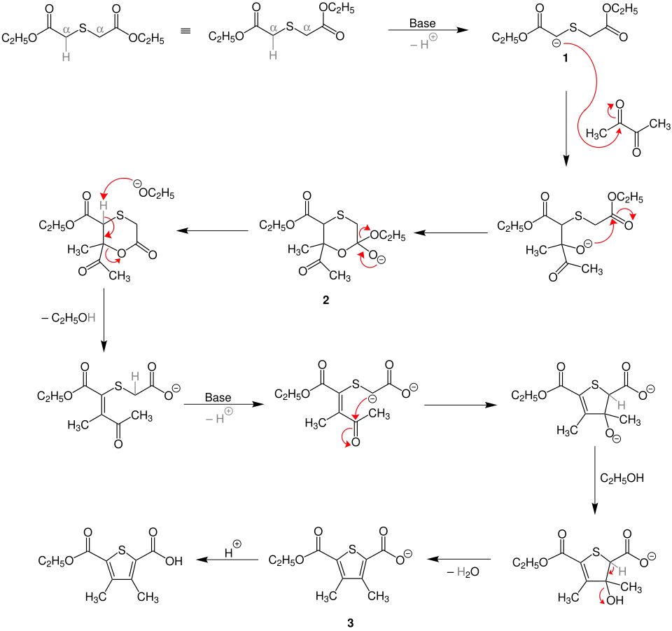 Hinsberg-Thiophensynthese-Mechanismus