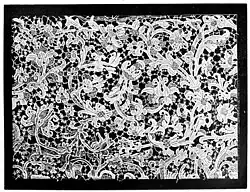 Point plat de Venise