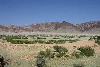Flutfläche im Hoanibtal (Westlich Sesfontein)