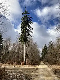 Hochberg (2022), Wegkreuzung auf der Hochfläche