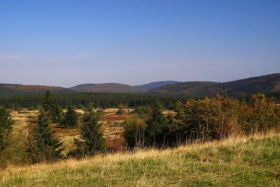 Blick vom Clemensberg nach Norden auf die Hochheide Neuer Hagen (Niedersfelder Hochheide) (2007)