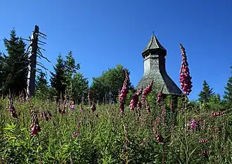 Aussichtsturm auf dem Gipfel des Hochkopfes