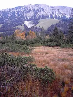 Kematsried-Moos mit Kühgund