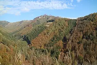 Blick von Südwesten vom Pleschwald aus auf den Hochstein