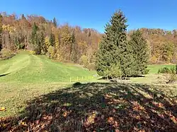 Hochwasser­rückhalte­becken Haintal (2022), Dammkrone von Osten