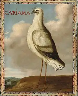 Cariama