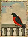 Paragua