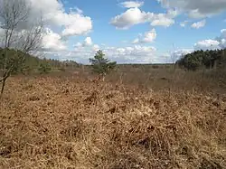 Die ländlich-industrielle Übergangslandschaft Hoge Kempen