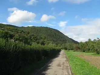 Hohe Buche, von Namedy aus gesehen