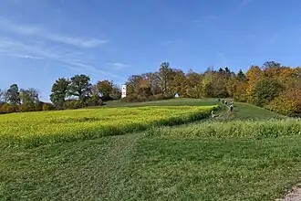 Gipfel der Hohen Flum von südlicher Richtung