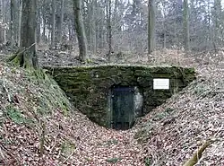 Mundloch Hohenbosteler Stollen