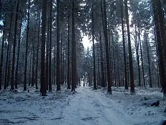 Hoher Hahn über dem Tröbigauer Oberdorf