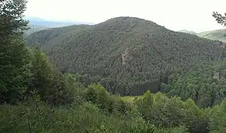 Hoher Kopf mit dem Stephansturm