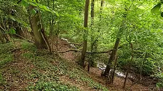 Bachlauf in der Schlucht