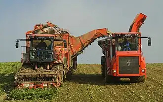 Roder im Hundegang beim Überladen auf ein Holmer Systemfahrzeug mit Rübenbunker