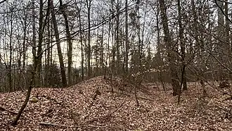 Reste der Wallanlage im Wald oberhalb von Bassersdorf