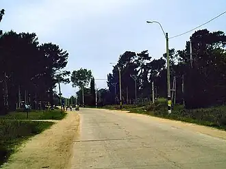 Calle Pérez Butler in El Pinar