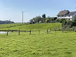 Exoten auf der Weide (2024)