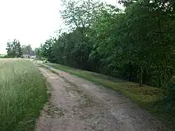 Ehemaliger Haltepunkt Breitenborn am km 7,22, Bahnsteig (2016)