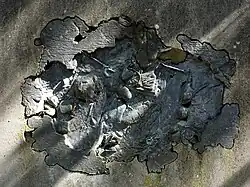 Hugo Weber (1918–1971) Künstler, Kunstädagoge. Friedhof am Hörnli