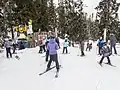 Eingang zur Skipiste Trollskogen mit „Åke Skider“ (2020)