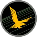 Aktuelles Emblem der 140. Staffel „Golden Eagle“