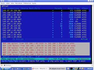 Screenshot von Iptraf