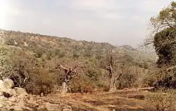 Kulturlandschaft der Bedik