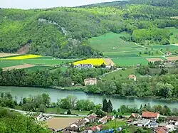 Sperre Roost: Die mit Buschwerk überwachsene Höckerlinie verläuft von der Aare durch das Tal bis an den Fuss der Iflue/Iberig