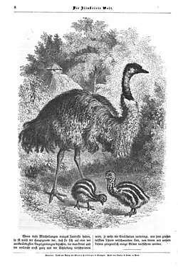 Illustrirte Welt, 1853, Seite 8.