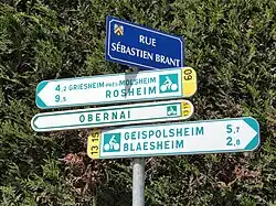 Pfeilwegweiser in Frankreich für den Radverkehr. Enthält sowohl Zielorte als auch Routen für die Wegweisung.