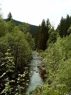 Innerste zwischen Wildemann und Lautenthal