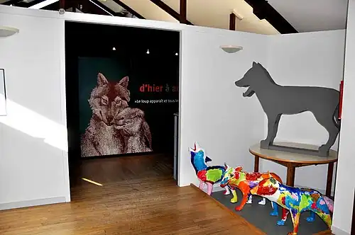 Museographischer Bereich