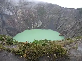 Vulkan Irazú mit Säuresee und Gunnera insignis am Kraterrand