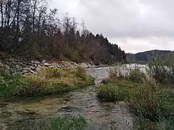 Isar-Prallhang bei Geretsried-Gartenberg