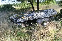 Dolmen de la Pierre Levée