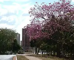 Vila de Furnas, einer der 58 Stadtteile der Stadt