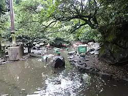 Teichlandschaft mit Flamingos und Enten