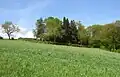 Der Friedhof am Hang zwischen Wiesen und Wald (Blick von Süden)
