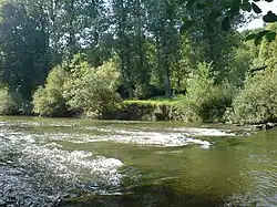 Aufnahme am Alt-Herrensteg bei Möckmühl.