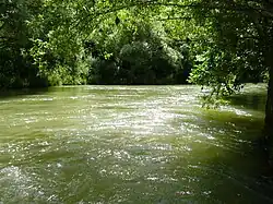 Zwischen Möckmühl und Züttlingen